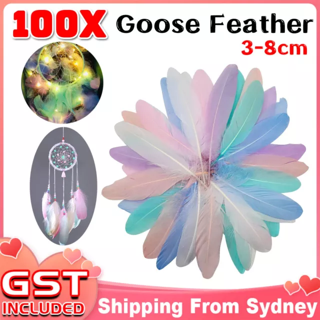 100x Macaron Mixed Colour 3-8cm Goose Feathers DIY Craft Dream Catcher Party AU