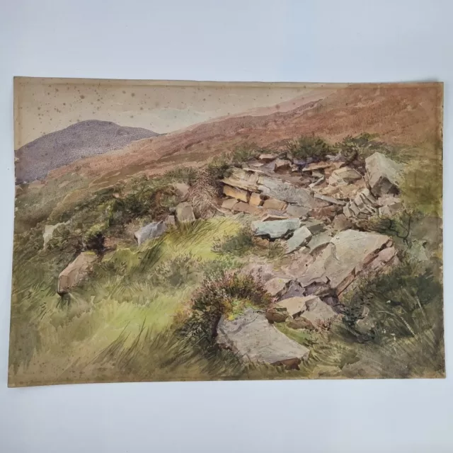 Antique 19th Century Unsigned Watercolour Painting Study Rocks On A Hillside