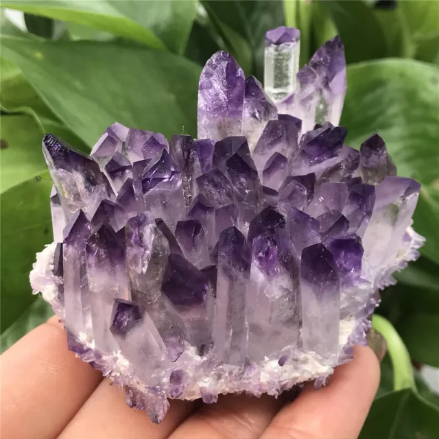200g New Find Purple Phantom Quartz Crystal Cluster Mineral Specimen Healing