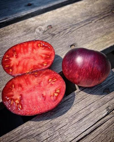 40 graines de tomate LOVELY LUSH - culture type Bio