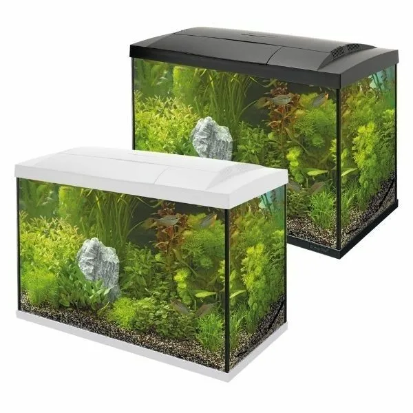 SuperFish Start Aquarium 30 50 70 Tropical Glass Fish Tank Kit Black or White 5