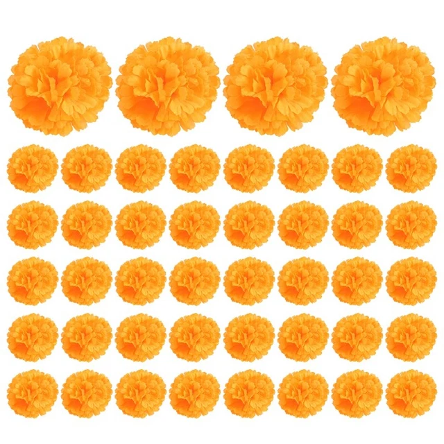 Calendula 3,9 pollici fiori costiera giorno dei morti 50 pezzi vaso anello K1T5