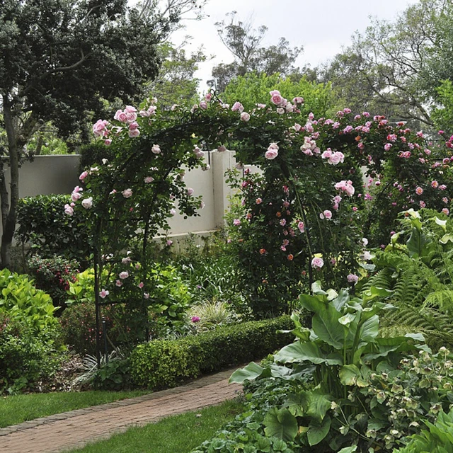 Rosenbogen Metall Massiv Breit Spalier Rankhilfe Rankgitter Gartenbogen Pergola