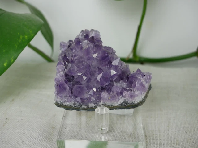 Brazilian Amethyst Druze Cluster 3.6oz Amethyst Crystal Cluster