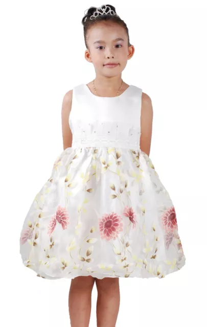 Girls Floral Party Dress Ivory 2 3 4 5 6 years