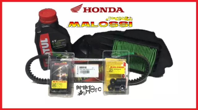 Set Entretien Huile + Transmission Malossi Rouleaux Glissières pour Honda Sh 125