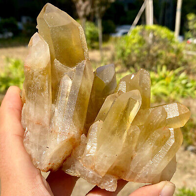 490G newly discovered mineral specimen of yellow mirage Quartz Crystal Cluster