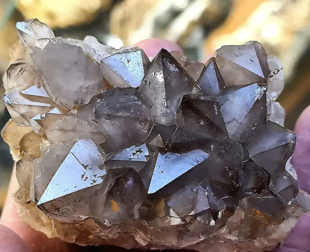 Quarz Bergkristall Medenbach Breitscheid Mineralien