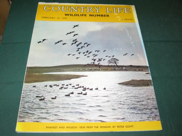 Country Life Magazine 15Th February 1979 - Wildlife Number Miss Amanda Loveridge