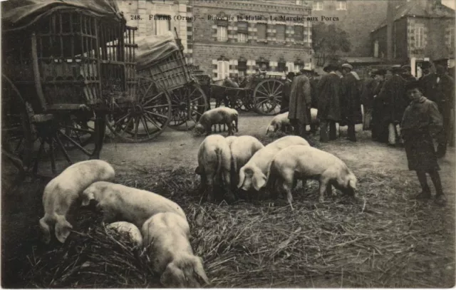 CPA AK FLERS - La Place de la Halle - Le Marché aux Porcs (49479)