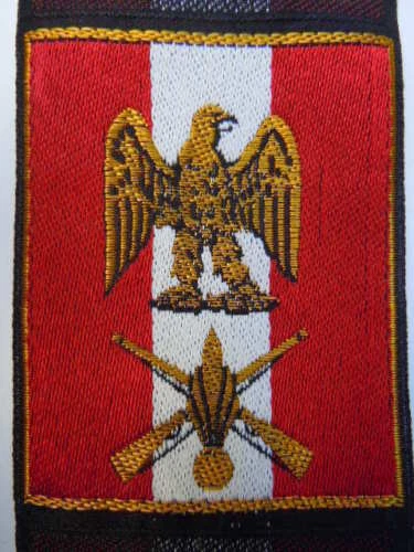 insigne patch tissus police service nationale (c69