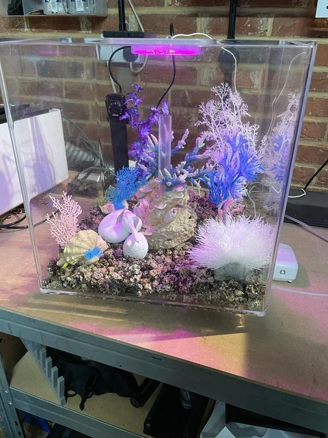 BiOrb CUBE 60L Complete Aquarium Fish Tank MCR LED - Clear 5