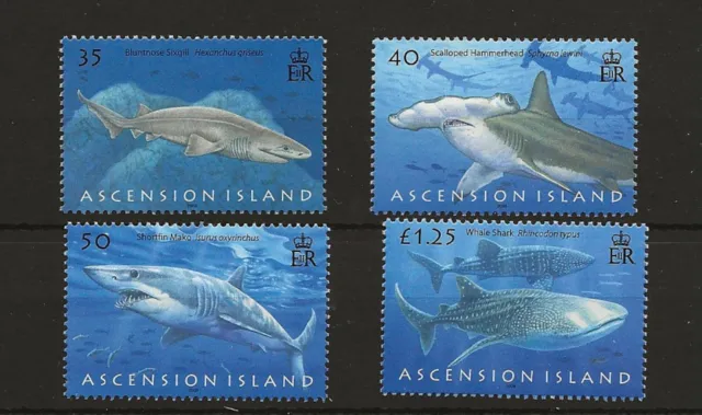 Ascension 2008 Sharks   set of 4  sg.999-1002   MNH