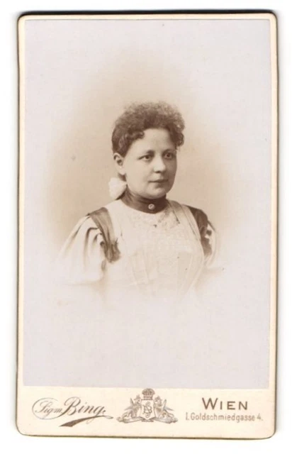 Fotografie Sigmund Bing, Wien, Stefansplatz Eingang Goldschmiedgasse 4, Junge D