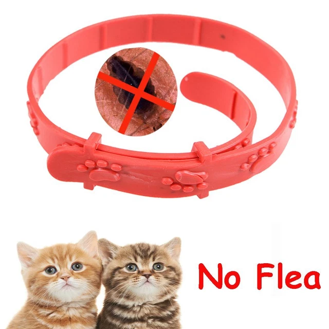 Anti - pulgas garrapatas acaros Acari PET collar Correa para el cuello Remedio