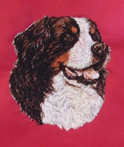 Embroidered Ladies Jacket - Bernese Mountain Dog AED14847 Sizes S - XXL