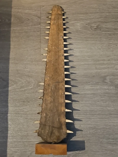 Hameçons à requin, Islande. Michael Carpentier