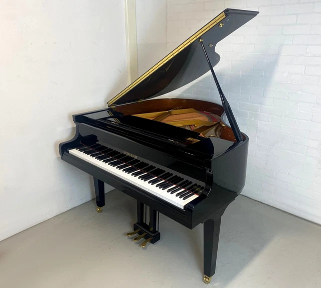 Steinbach Baby Grand Piano Black High Gloss - Warranty - Delivery