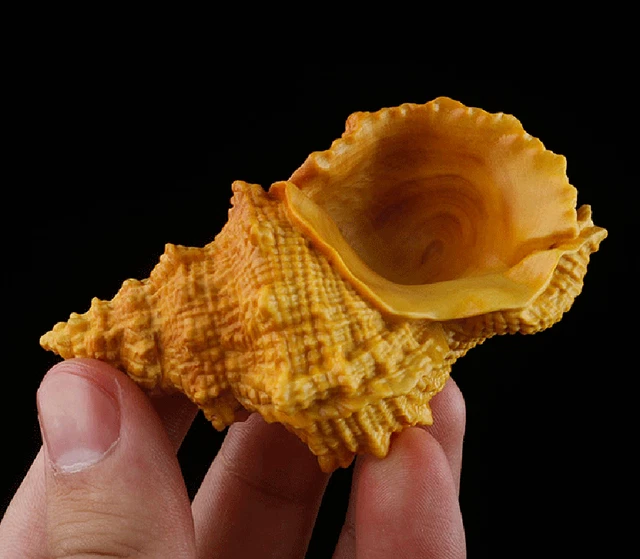 CC0777C - 8 X 5 X 4.5 CM Carved Boxwood Carving Figurine - Conch
