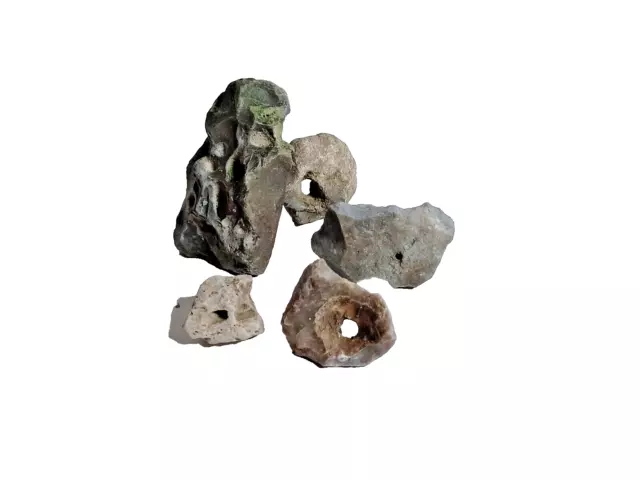 5 kleine Hühnergötter Flintstones Steine mit Loch Glückssteine Hexensteine