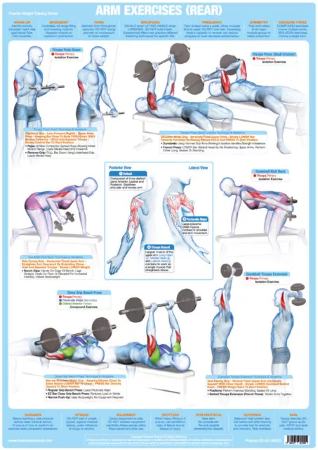 Bodybuilding Arm Muscles Poster Triceps Weight Training Chart