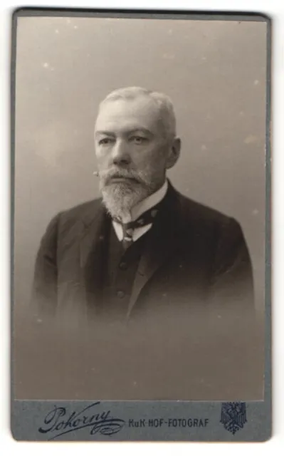 Fotografie Pokorny, Wien, Portrait älterer Herr mit Vollbart im Anzug