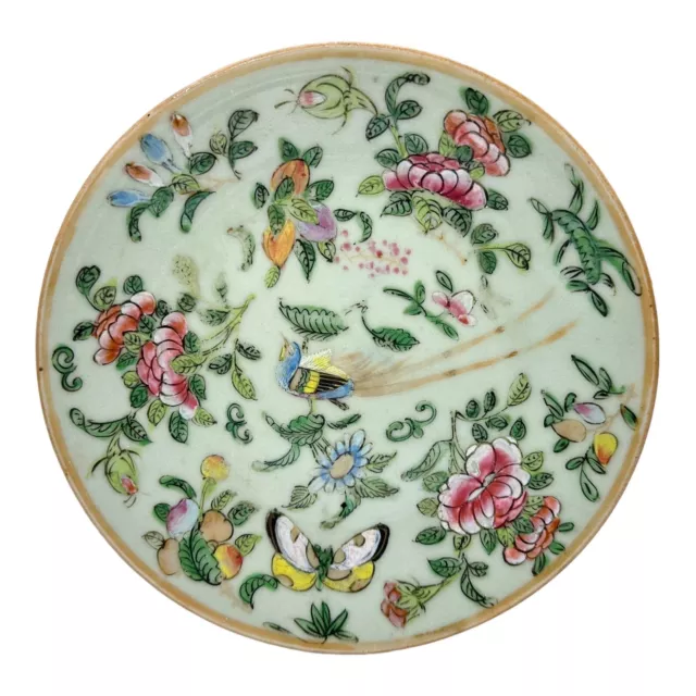 19th CENTURY CHINESE FAMILLE ROSE CELADON SMALL HAND PAINTED PLATE 18 CM DIA