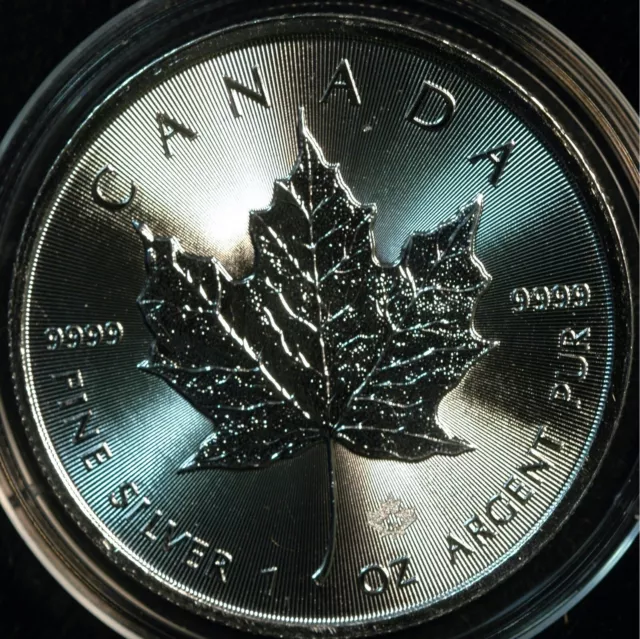 Canada Five Dollars $5 2019 Maple Leaf .999 31g 1 Ounce Silver (T2)