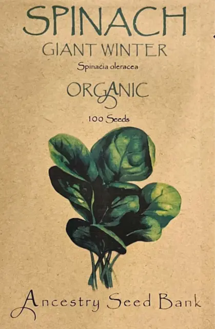 ORGANIC SPINACH ❁ GIANT WINTER ❁ 100 Seeds HEIRLOOM Herb 🌱 Non GMO