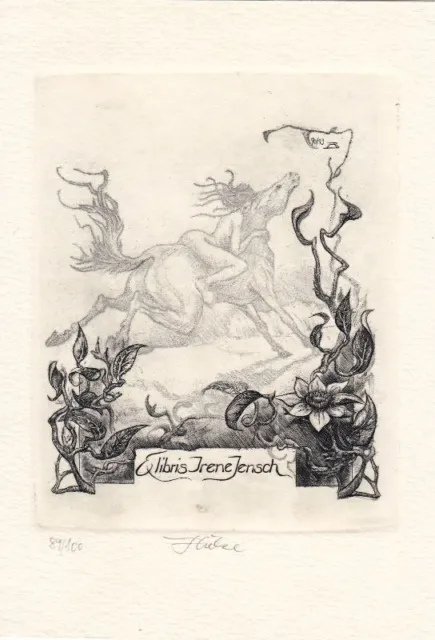 Exlibris Bookplate Gravure sur Cuivre Bernd Hieke Cavalière Nu Féminin