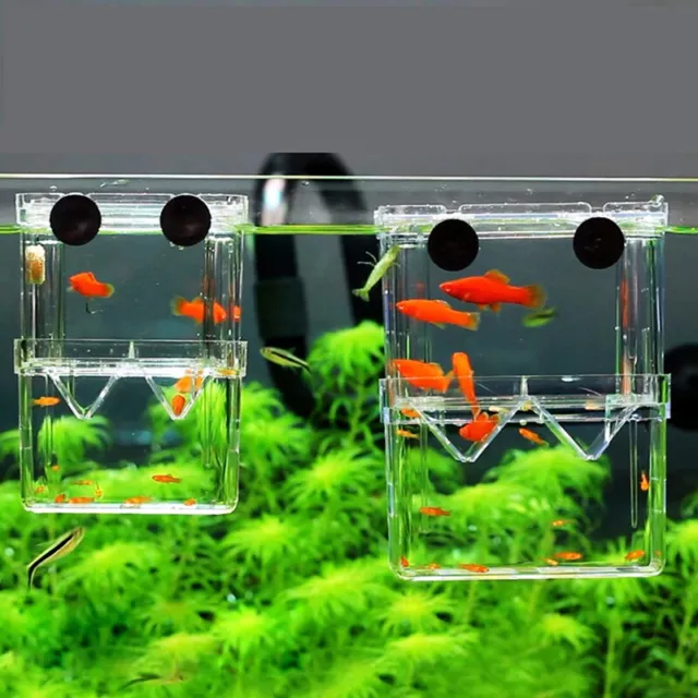 Double-Deck Clear Fish Breeding Isolation Box Aquarium Fish Tank Hatching Ho~m'