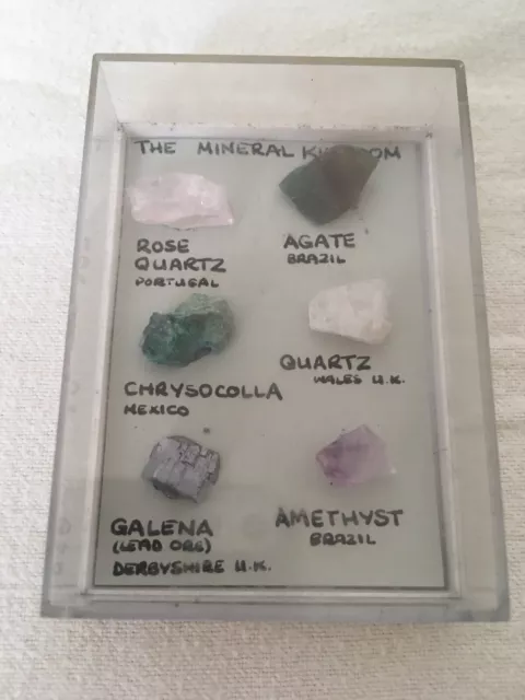 The Mineral Kingdom Display Box Of Six Different Crystals Collectable