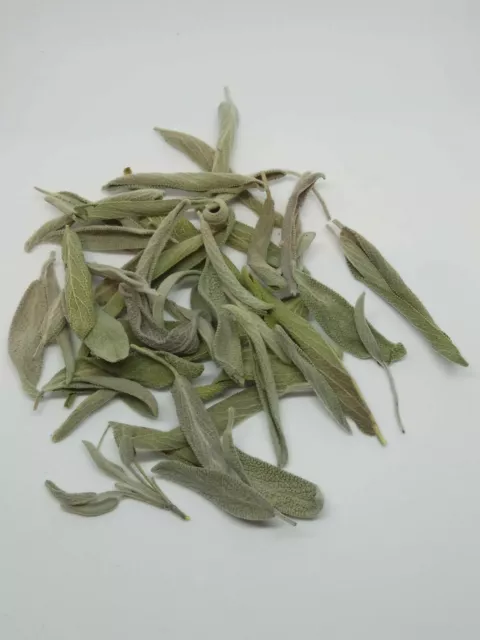 Sage leaf Salvia officinalis wild Organic dried tea 2