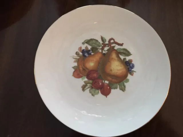 BAREUTHER WALDSASSEN Bavaria Germany (6) Salad / Dessert Painted Fruit Plates