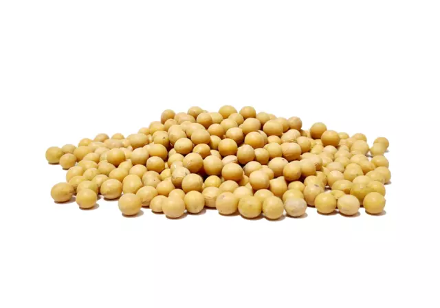 Grand Organic Soya Beans ( 500g - 1Kg ) Free P&P Mainland UK