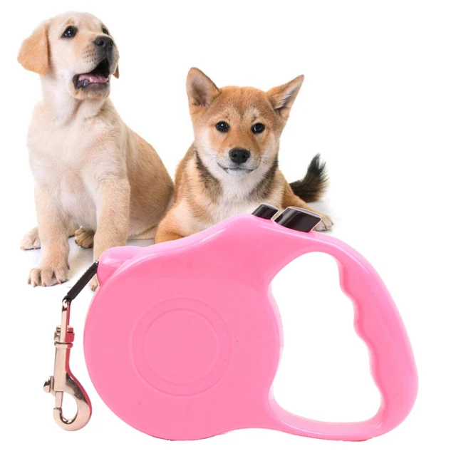 Cane pratico automatico guinzaglio a scomparsa piombo camminando per cane da compagnia cuccioli