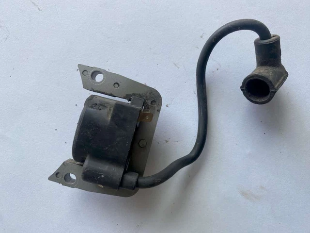 BOBINA MOTORE INDUSTRIALE Briggs & Stratton AGRICOLO RASAERBA MOTOCOLTIVATORE EC
