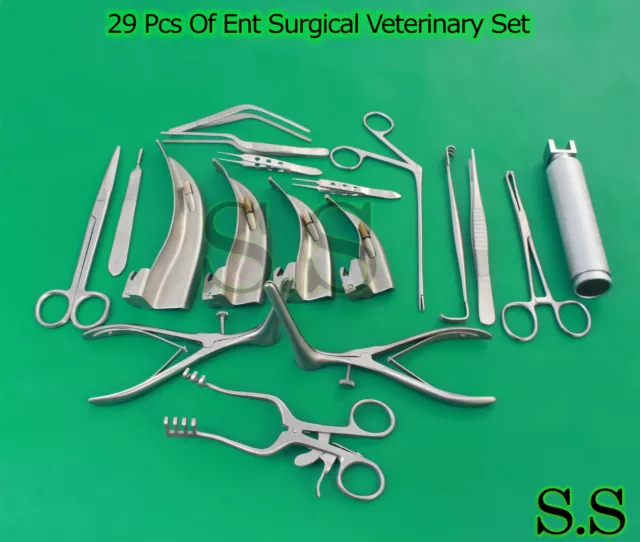 29 Pcs Set Of Ent Surgical Veterinary Diagnostic Surgery Instruments Ds-933