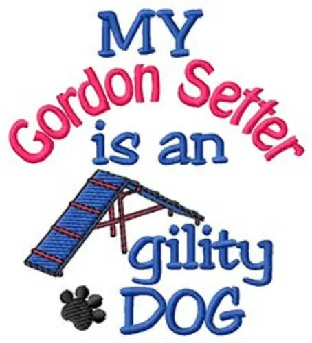 My Gordon Setter is An Agility Dog Ladies T-Shirt - DC1904L Size S - XXL