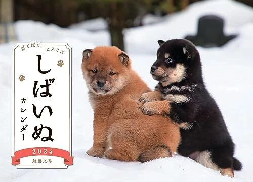 Calendrier Mural Shiba Inu 2026 - Format A3, 12 Photos De Chiens, Spirale - 10