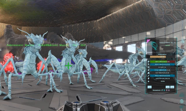 Mantis TOP STATS 362 LIVELLO Arca Sopravvivenza Ascesa Ufficiale