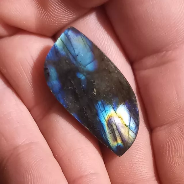 Anschliff Cabochon Labradorit Jumbo Labradorite Mondstein M2 Spektrolith