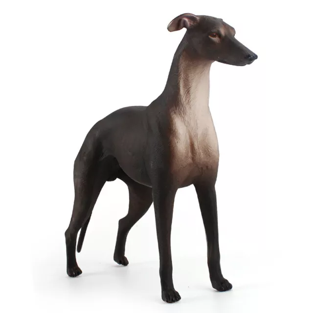 Scale Realistic Greyhound Dog Statue Resin Animal Model Toys Figure Decor 1/6