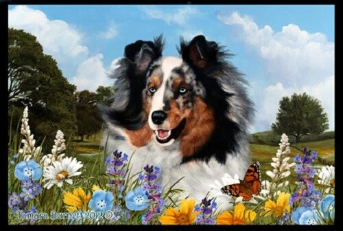 Summer Floor Mat - Blue Merle Shetland Sheepdog Sheltie 39090