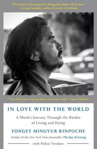 In Love with the World: A Monks Journey Through the Bardos of Livi - VERY GOOD