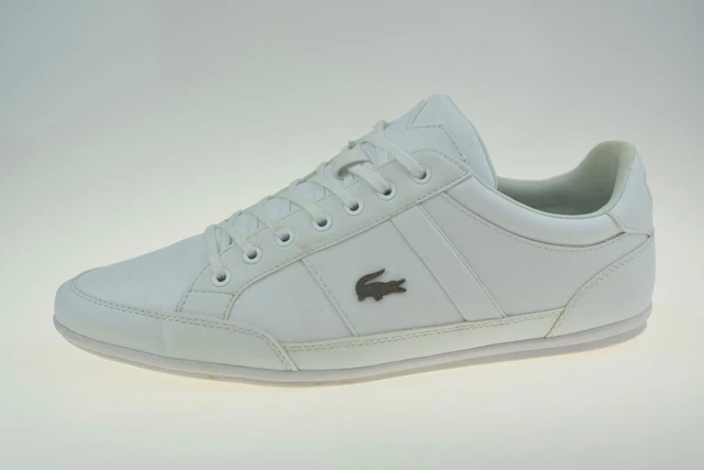 Lacoste 29249 clearance