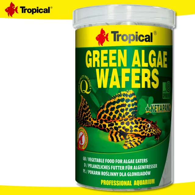 Tropical 1000 ML Vert Algae Catfish Plaquette Légume Nourriture pour