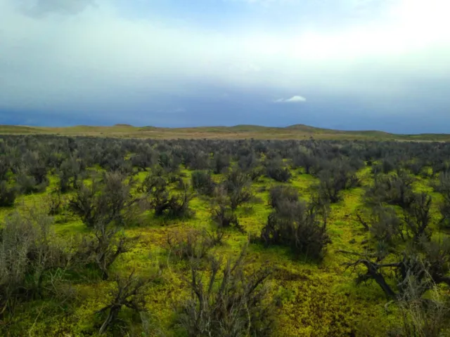 Rare! 1 Acre Elko Nevada Lot~Close To River~ 5 Star Views! Cash Sale~No Reserve!