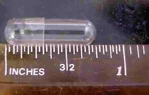 Cápsulas de gelatina vacías talla 2 se envían descuentos rápidos de especias