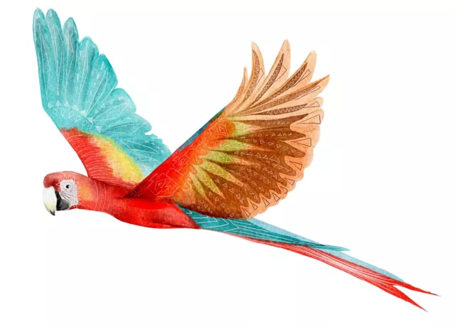 4”  Scarlet Macaw Parrot Sticker  Bird Wild Flying Vibrant Rainforest Watercolor